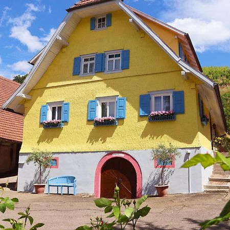 Appartamento Winzerhof Maennle Oberkirch  Esterno foto