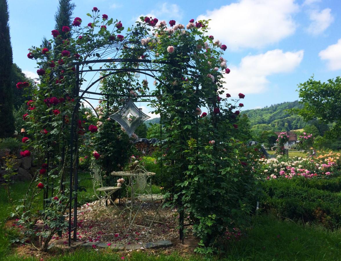 Appartamento Winzerhof Maennle Oberkirch  Esterno foto