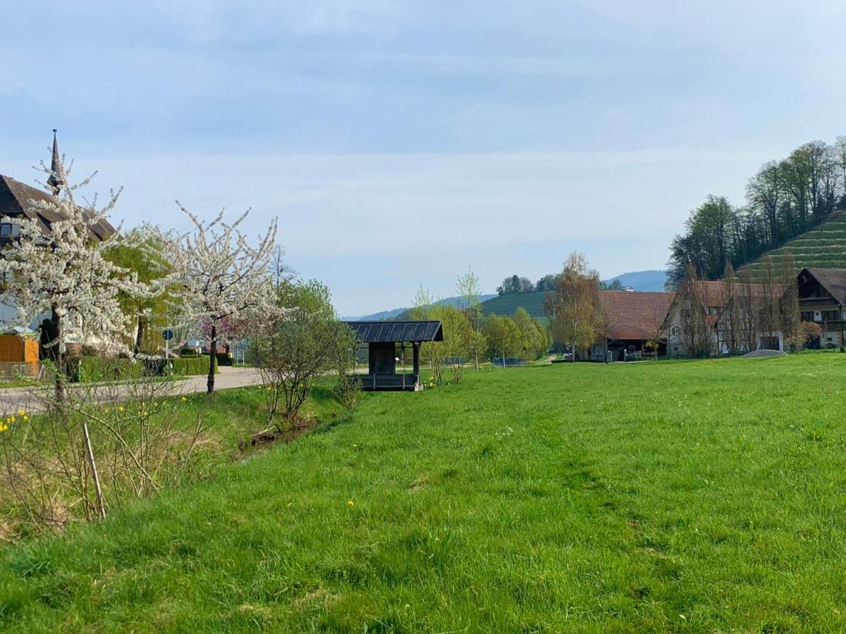 Appartamento Winzerhof Maennle Oberkirch  Esterno foto