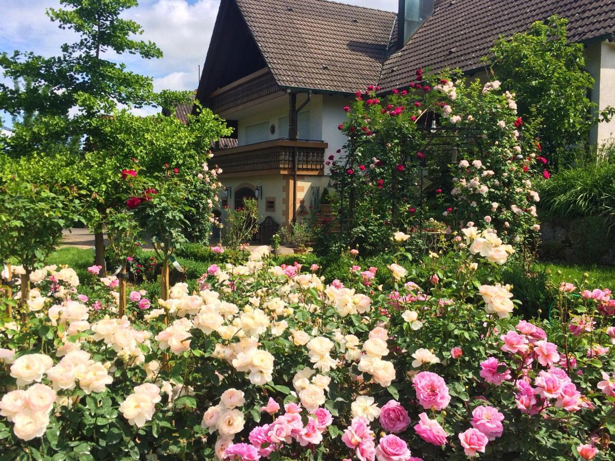 Appartamento Winzerhof Maennle Oberkirch  Esterno foto