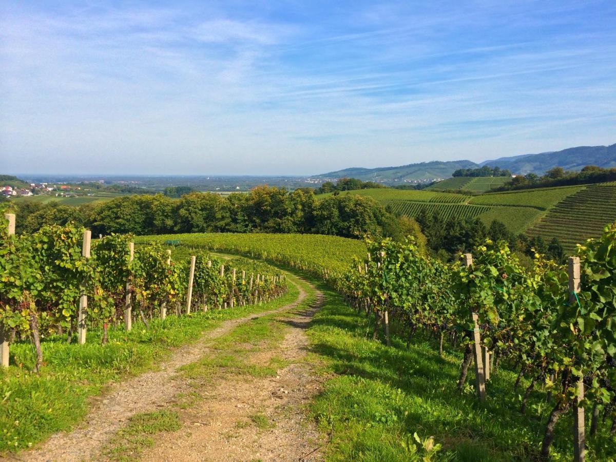 Appartamento Winzerhof Maennle Oberkirch  Esterno foto