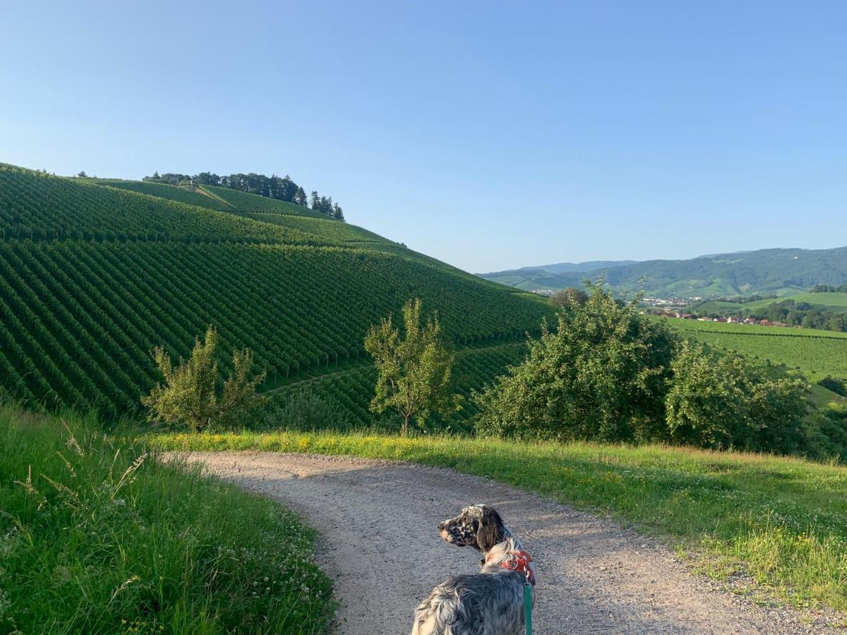 Appartamento Winzerhof Maennle Oberkirch  Esterno foto