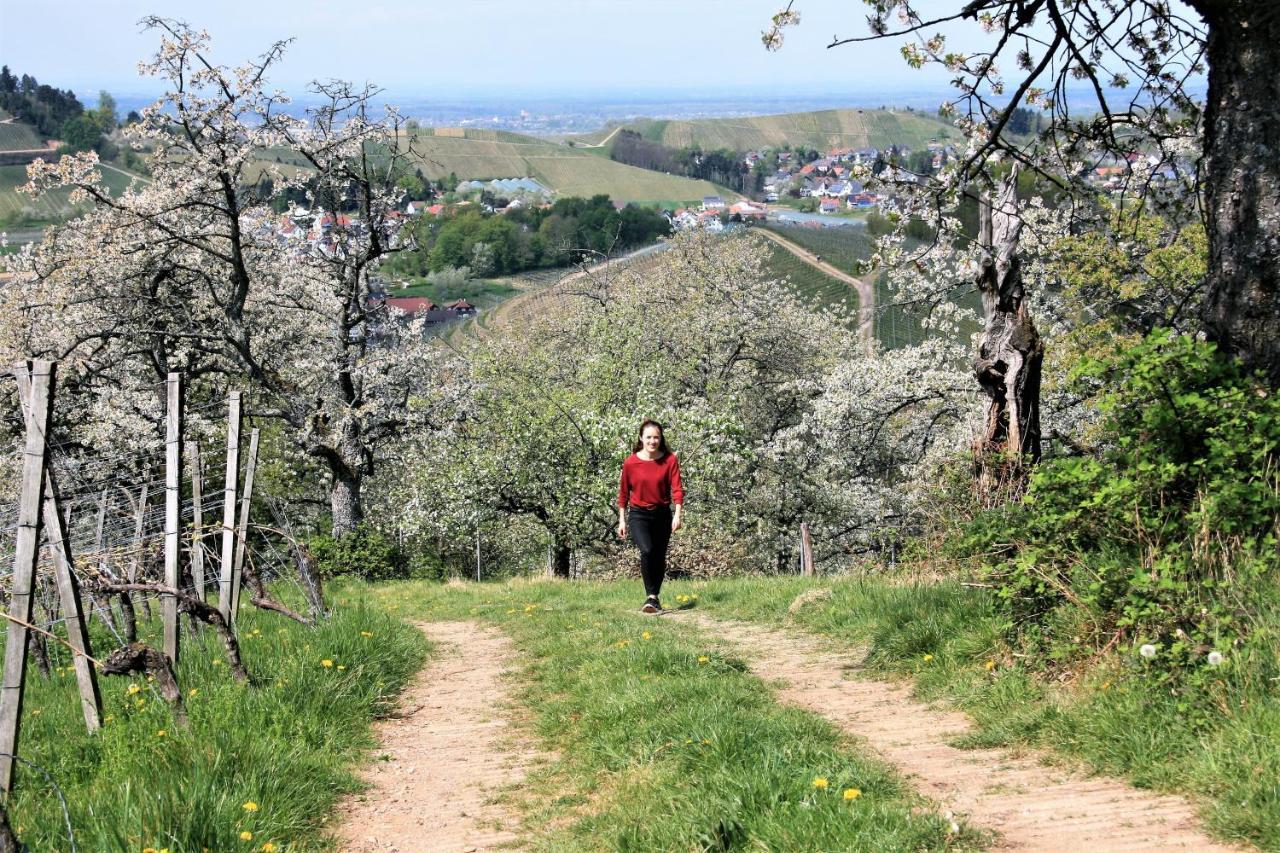 Appartamento Winzerhof Maennle Oberkirch  Esterno foto
