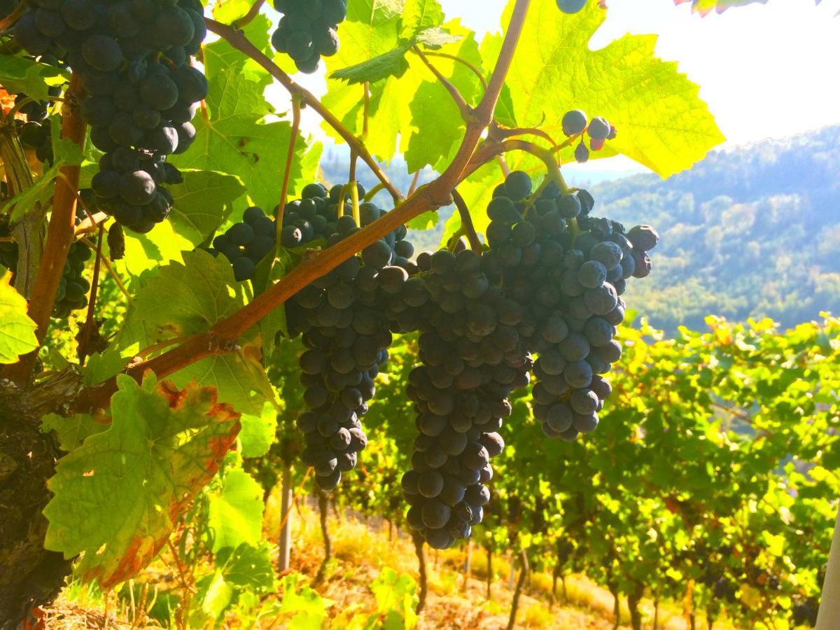 Appartamento Winzerhof Maennle Oberkirch  Esterno foto