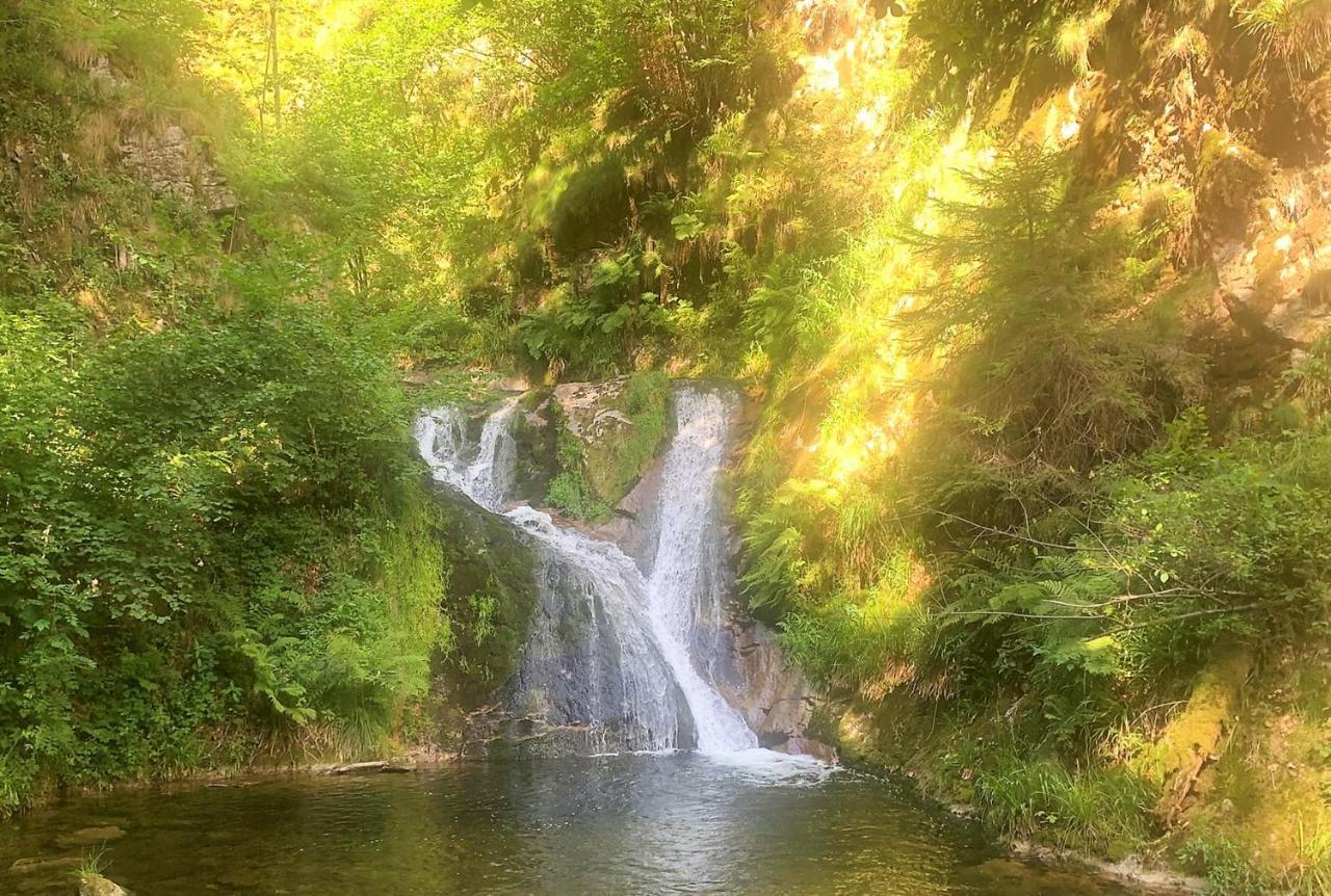 Appartamento Winzerhof Maennle Oberkirch  Esterno foto
