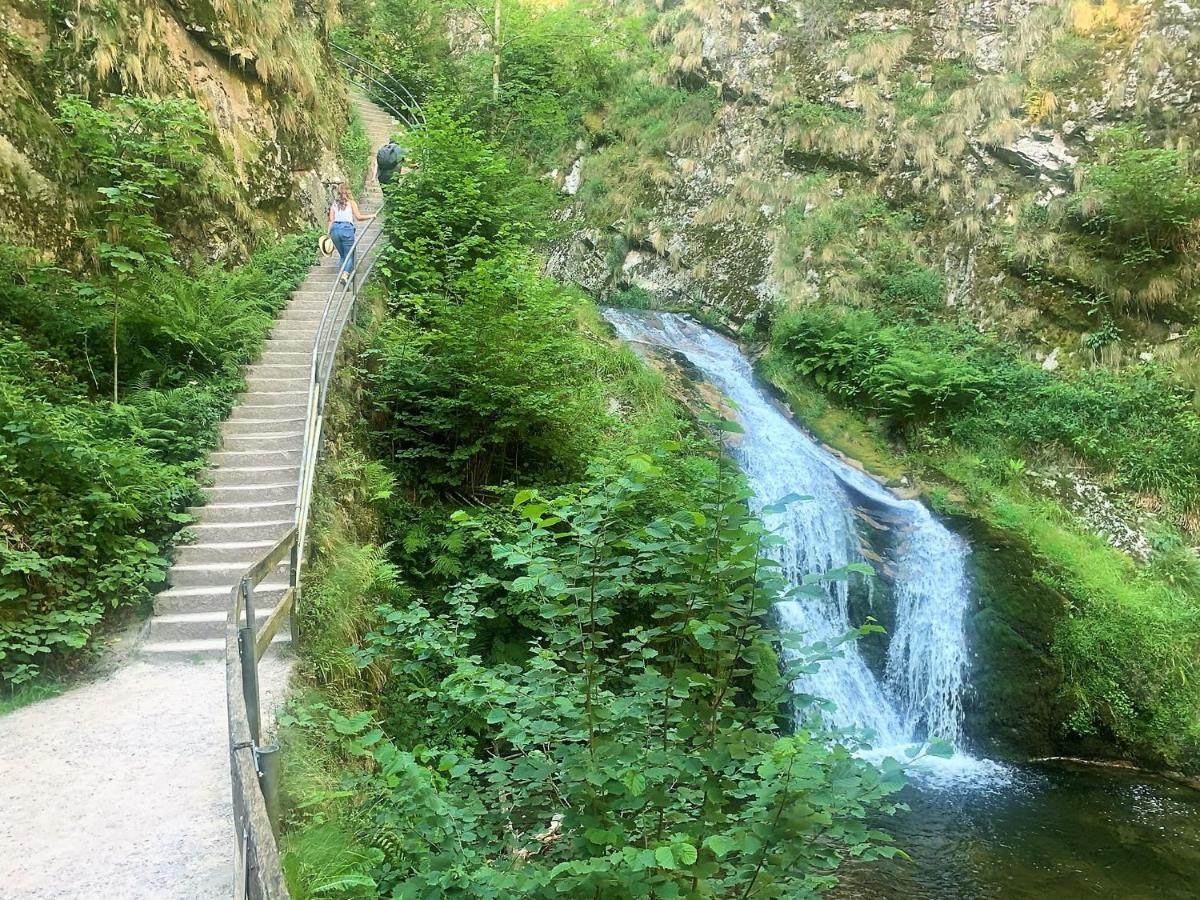 Appartamento Winzerhof Maennle Oberkirch  Esterno foto