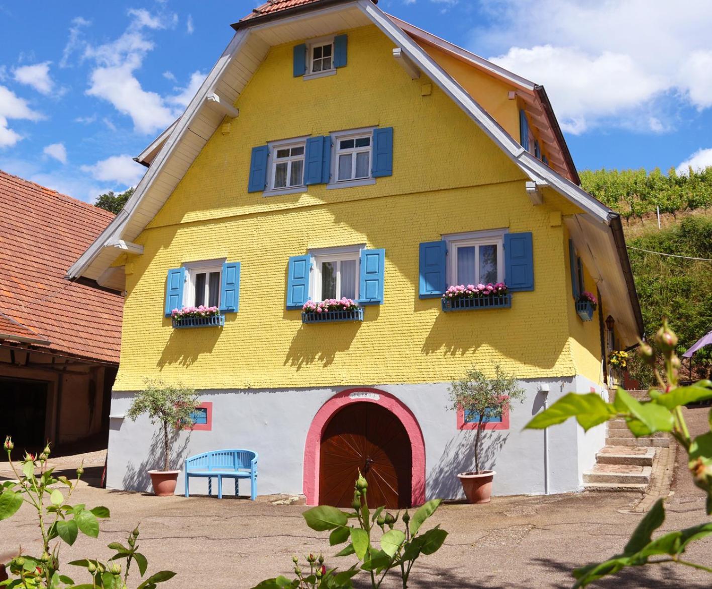 Appartamento Winzerhof Maennle Oberkirch  Esterno foto