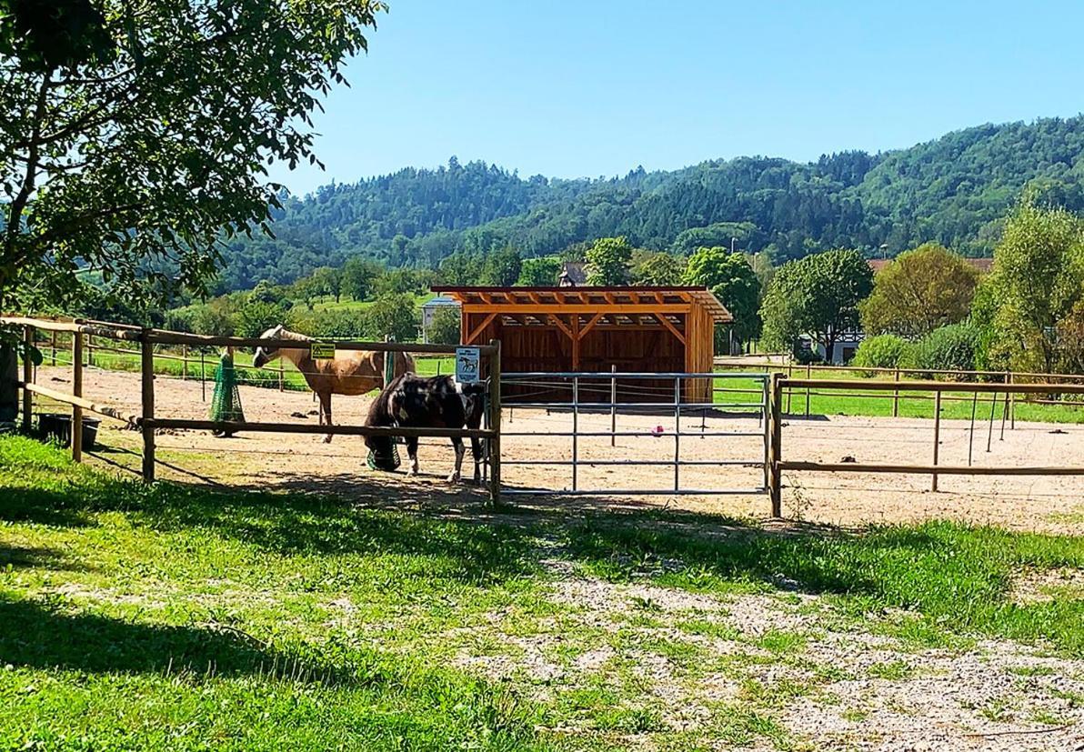Appartamento Winzerhof Maennle Oberkirch  Esterno foto
